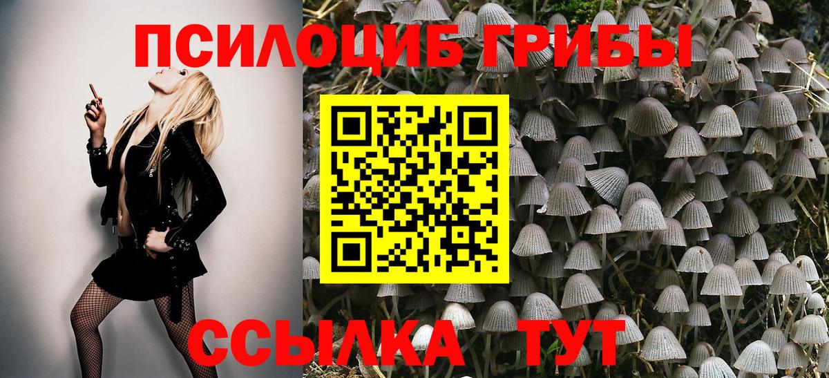 Дербент  Псилоцибиновые грибы ЛСД  где купить наркоту  Вход с VPN 